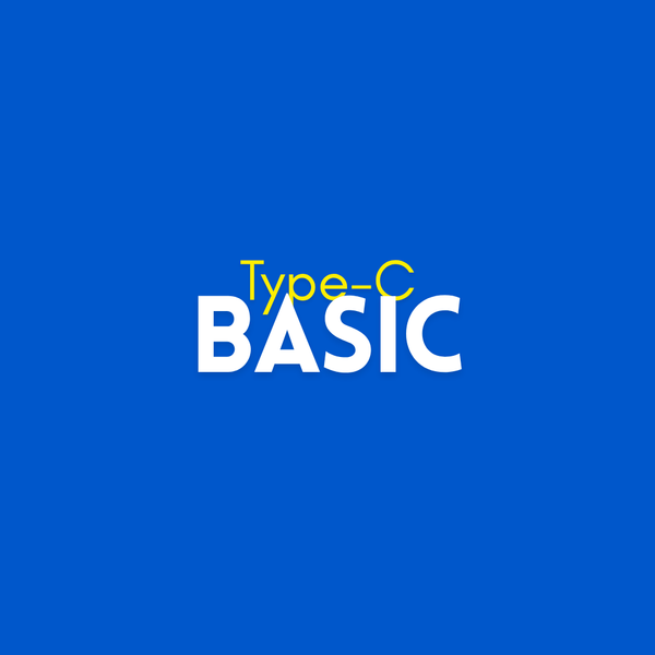 Basic Chargers Type C