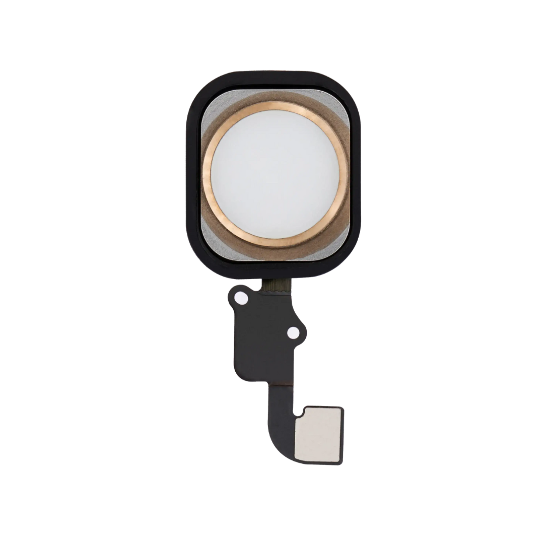 Botón de inicio con flex para iPhone 6/6 Plus (dorado)