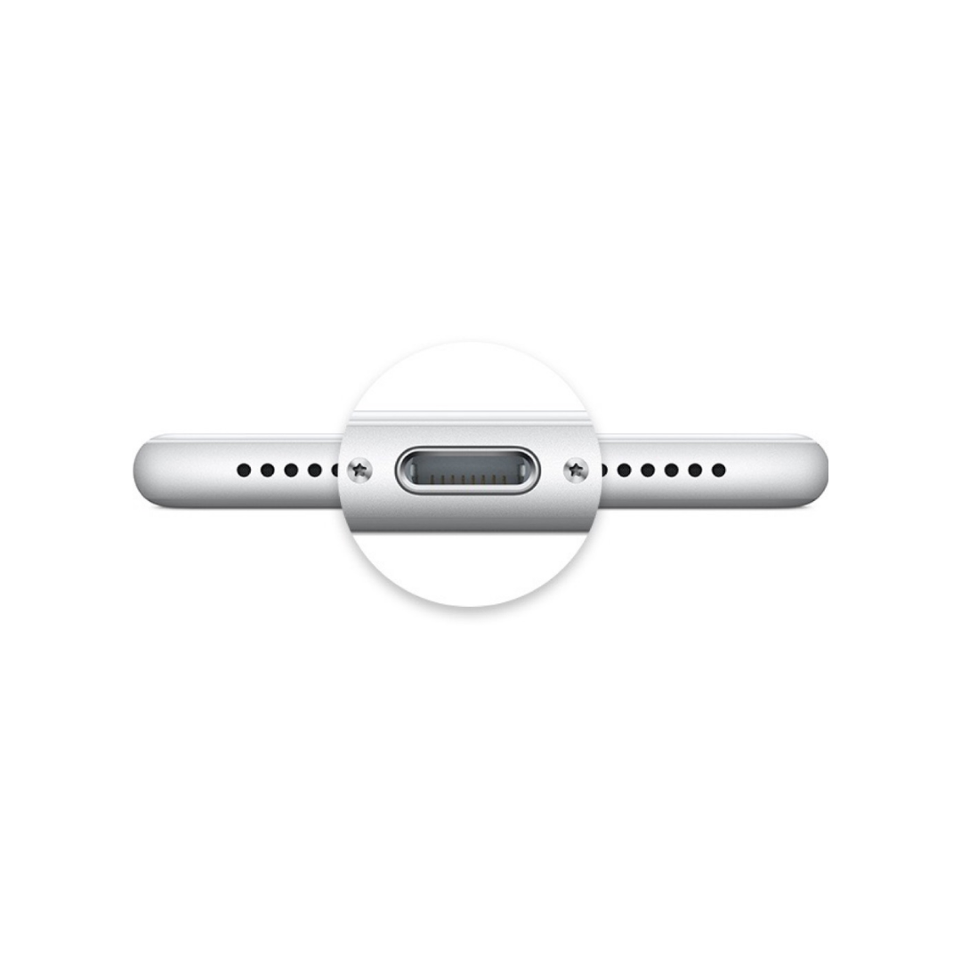 Apple iPad 5/6/Air 1 Charging Port