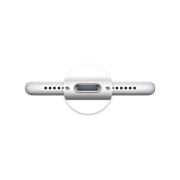 Apple iPad 5/6/Air 1 Charging Port
